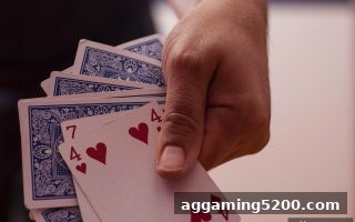 百家乐新手入门：麻将胡了pg平台合规与风险控制全攻略