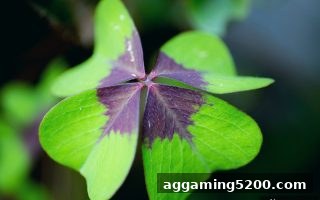 麻将胡了pg资金管理全攻略：北京赛车稳健盈利的核心法则