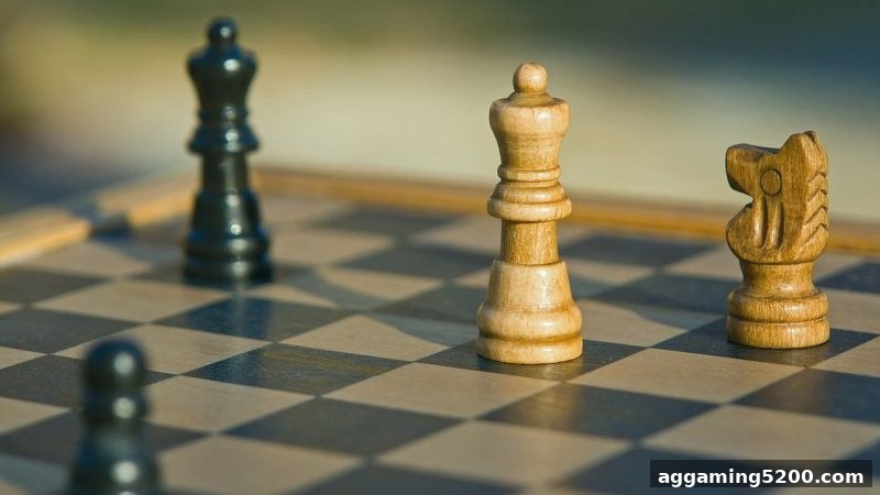 信号决胜：麻将胡了pg教你桥牌搭档沟通的底层逻辑