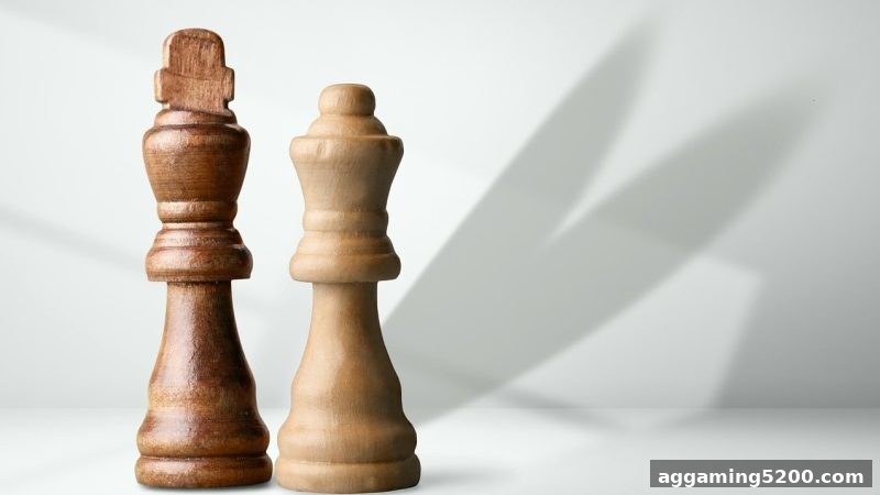 麻将胡了pg带你深度解锁棋牌游戏教学视频：高效进阶与社交双赢秘籍