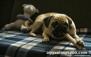 麻将胡了pg深度解读：比特币首存奖励发放周期如何影响你的游戏体验？