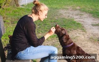 理性购彩与备用域名：麻将胡了pg带给玩家的稳定体验与安全认知