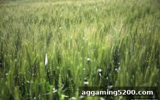 欧洲娱乐平台提现必备指南：数字货币审核文件清单与麻将胡了pg实用经验