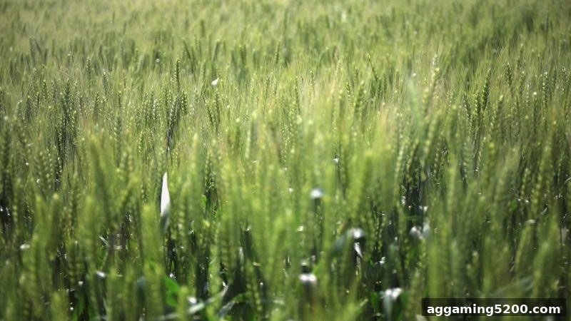欧洲娱乐平台提现必备指南：数字货币审核文件清单与麻将胡了pg实用经验