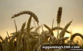 麻将胡了pg独家解析：胜率与风险控制的黄金平衡法则