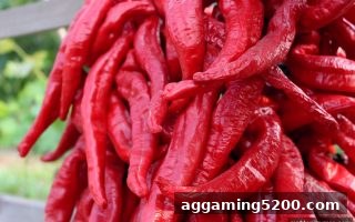 麻将胡了pg视角：如何精准判断在线娱乐平台的合法性？