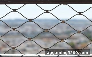 揭秘线上娱乐平台的暗流：麻将胡了pg带你认清隐藏风险
