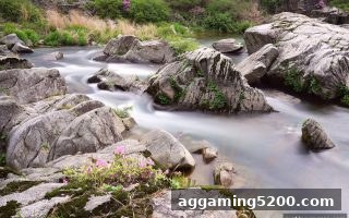 麻将胡了pg世界杯直播评论专区：观赛、互动与数据一站式体验
