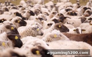 足球赛季热门球队动态追踪与系统化分析：麻将胡了pg的实用视角